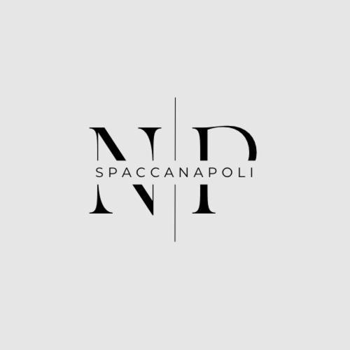 Np Spaccanapoli Nápoles Exterior foto